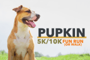 PupKin 5K/10K Fun Run 
