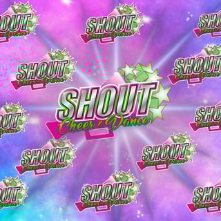 SHOUT! Cheer and Dance Co.