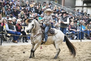 Farm Credit Services of America Horse Sale and Stallion Row