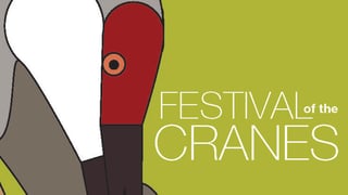 2026 Festival of the Cranes