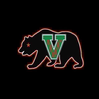 Valley Boyz Youth Football