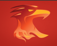 Philadelphia Phoenix Ultimate Frisbee Camp