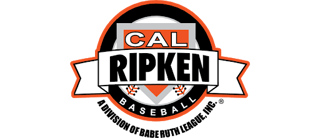 Cal Ripken 8U Pennsylvania Northwest Baseball State Championship
