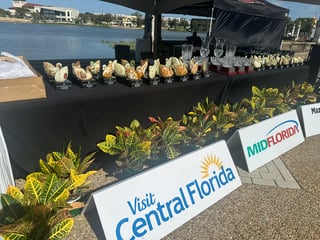 Lake Mirror Classic Concours and Car Show