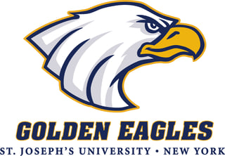 SJNY Men's Volleyball Camp