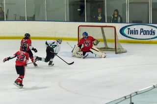 Twin Ponds Ice Arena