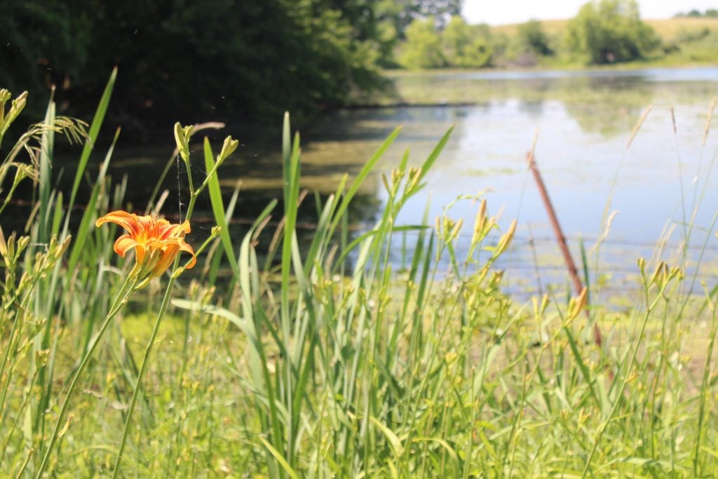 Watkins Lake State Park and County Preserve