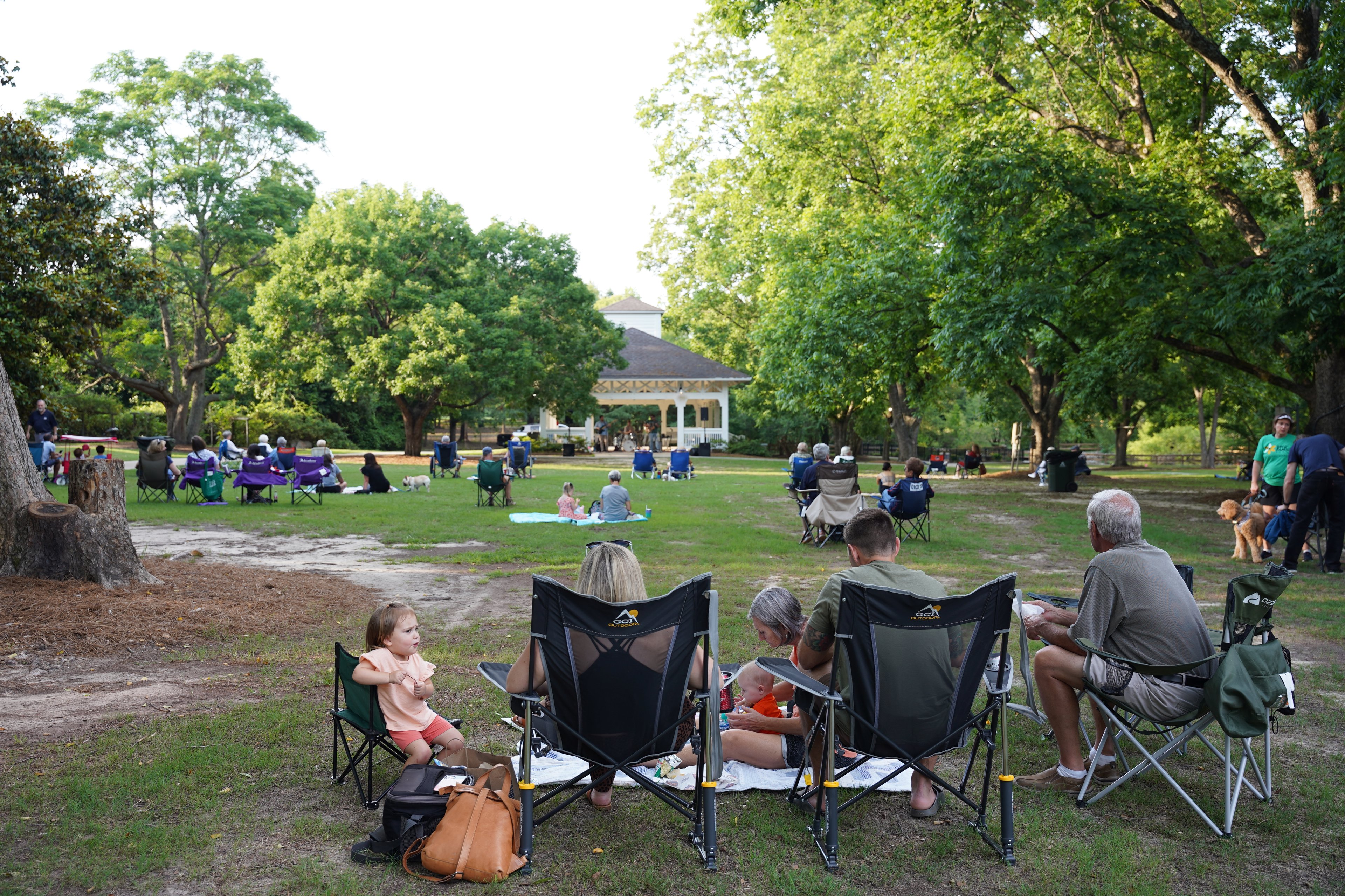 Live and Local Music Series