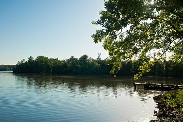 Lake Harding