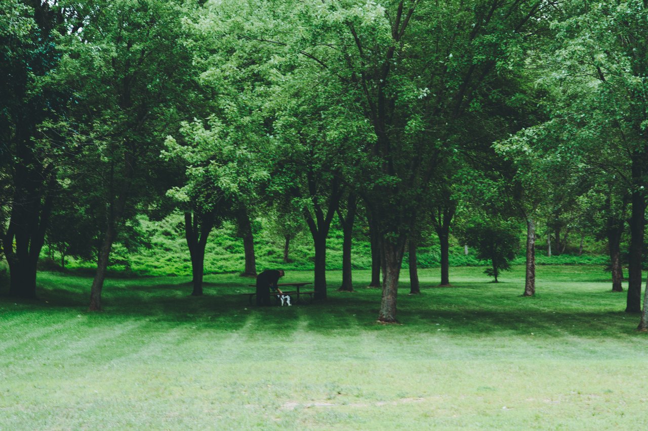 Archery Park