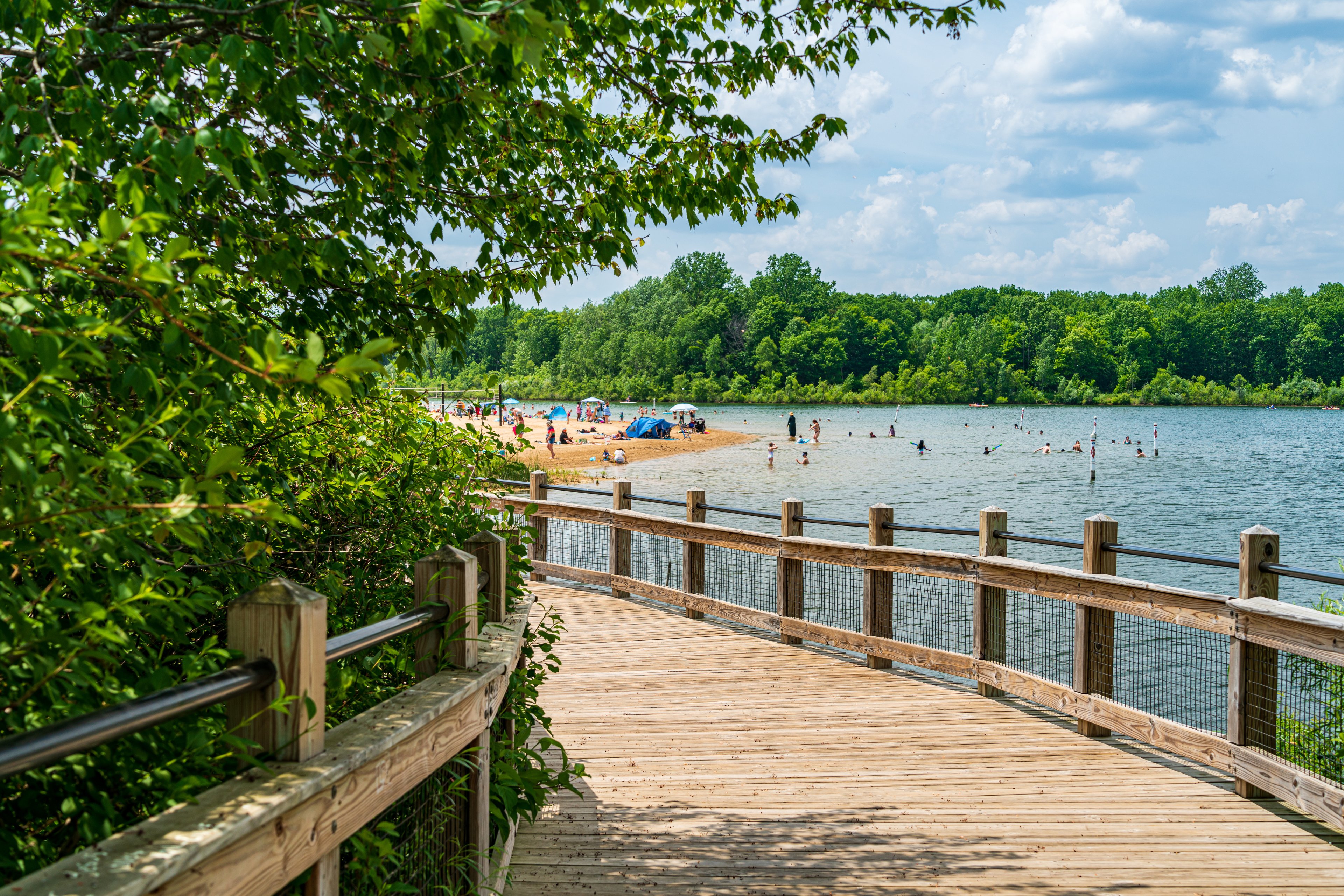 Millennium Park Boat Rentals
