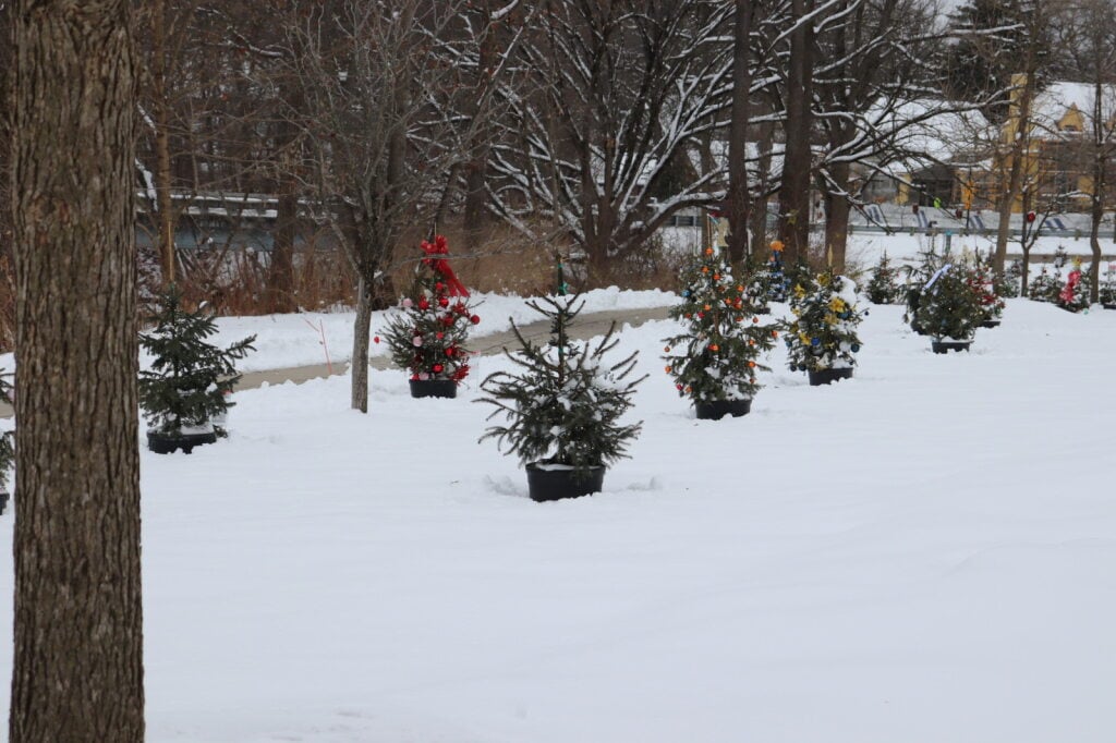 Festival of Trees at Ada Village 2026