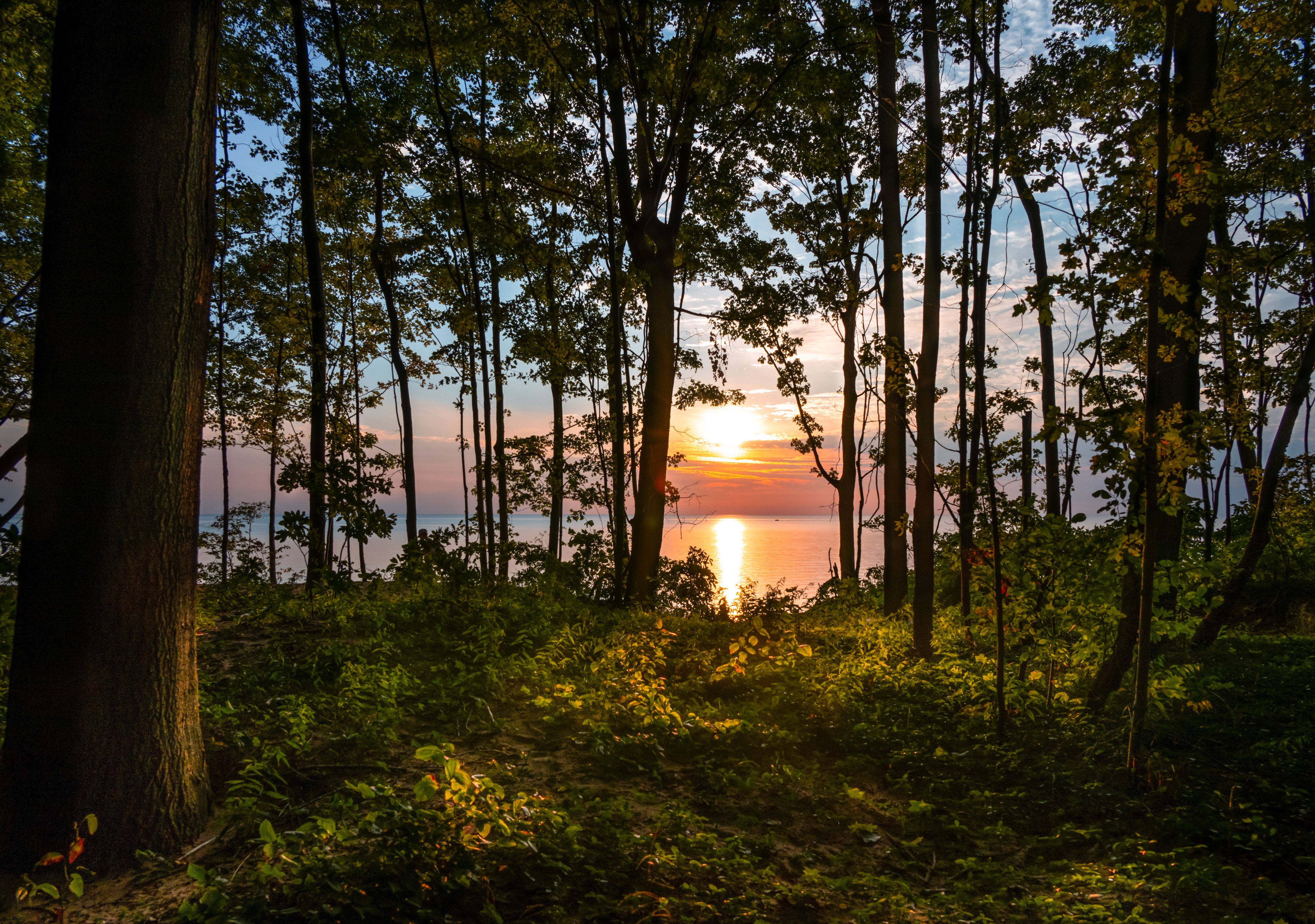North Point Conservation Area