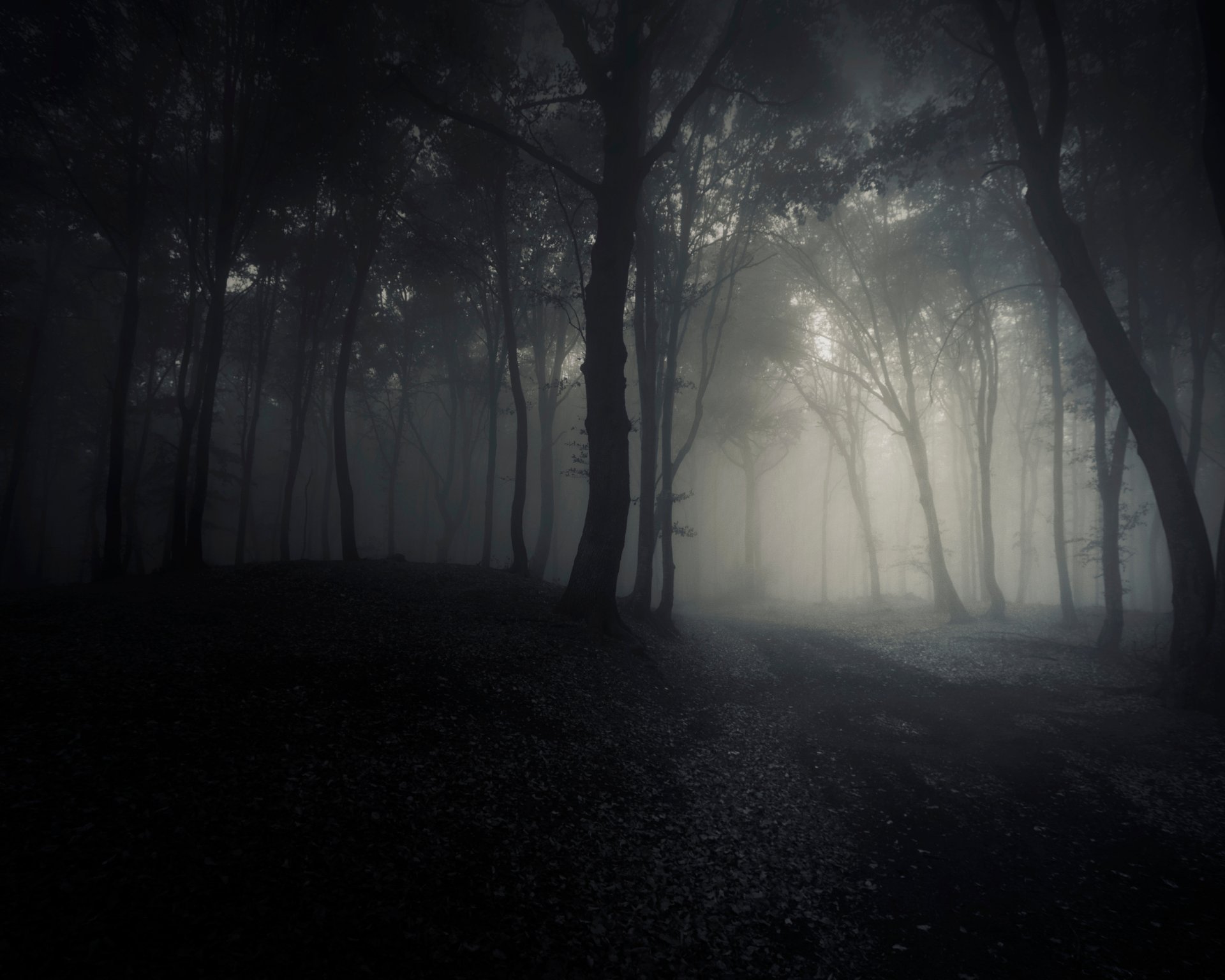 The Haunted Forest 2026