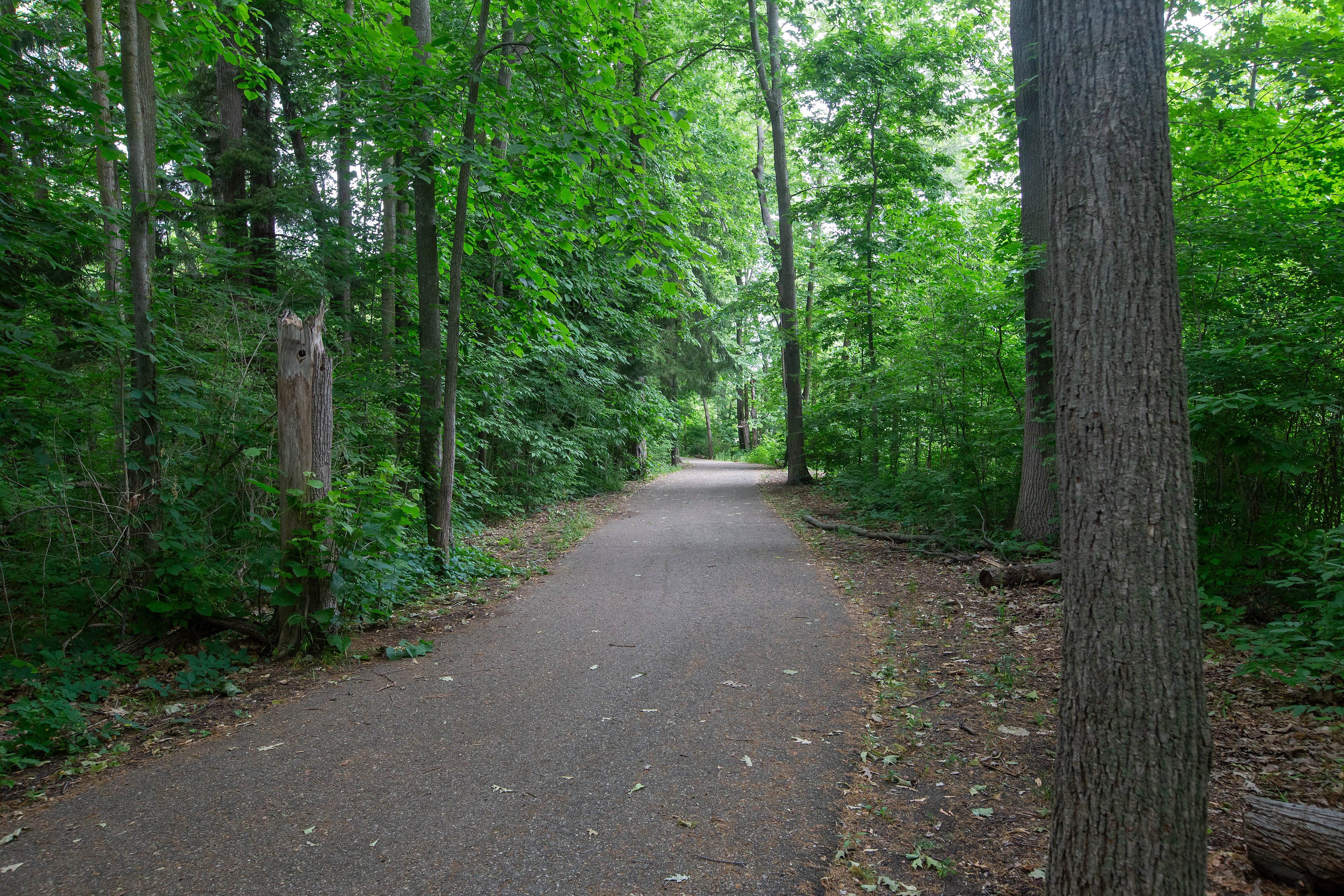 Hunter's Orchard Park