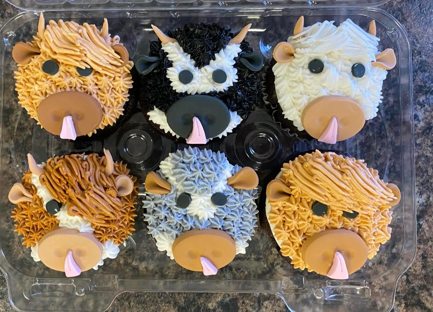 Cakes-A-Bloomin