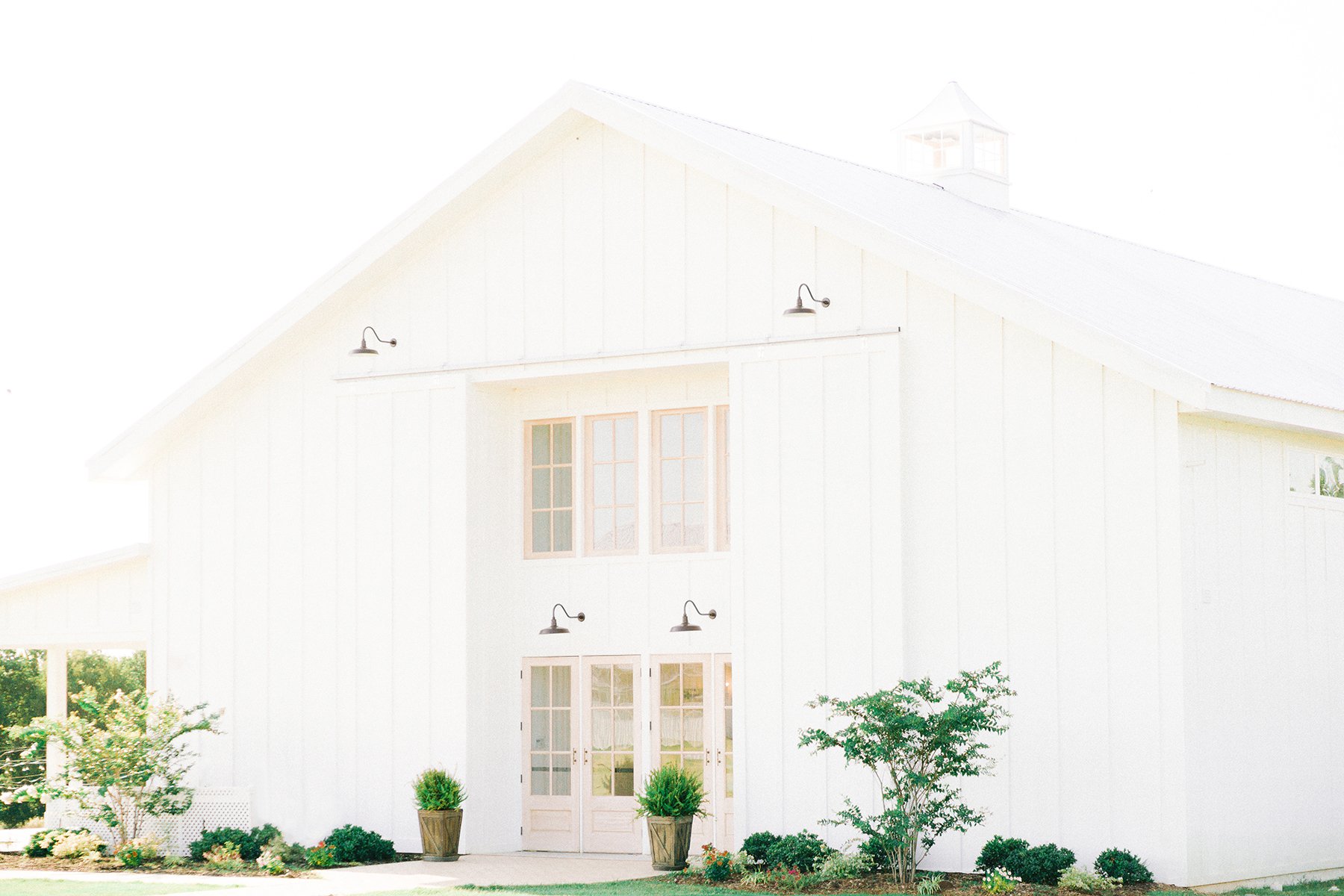 Grand Ivory