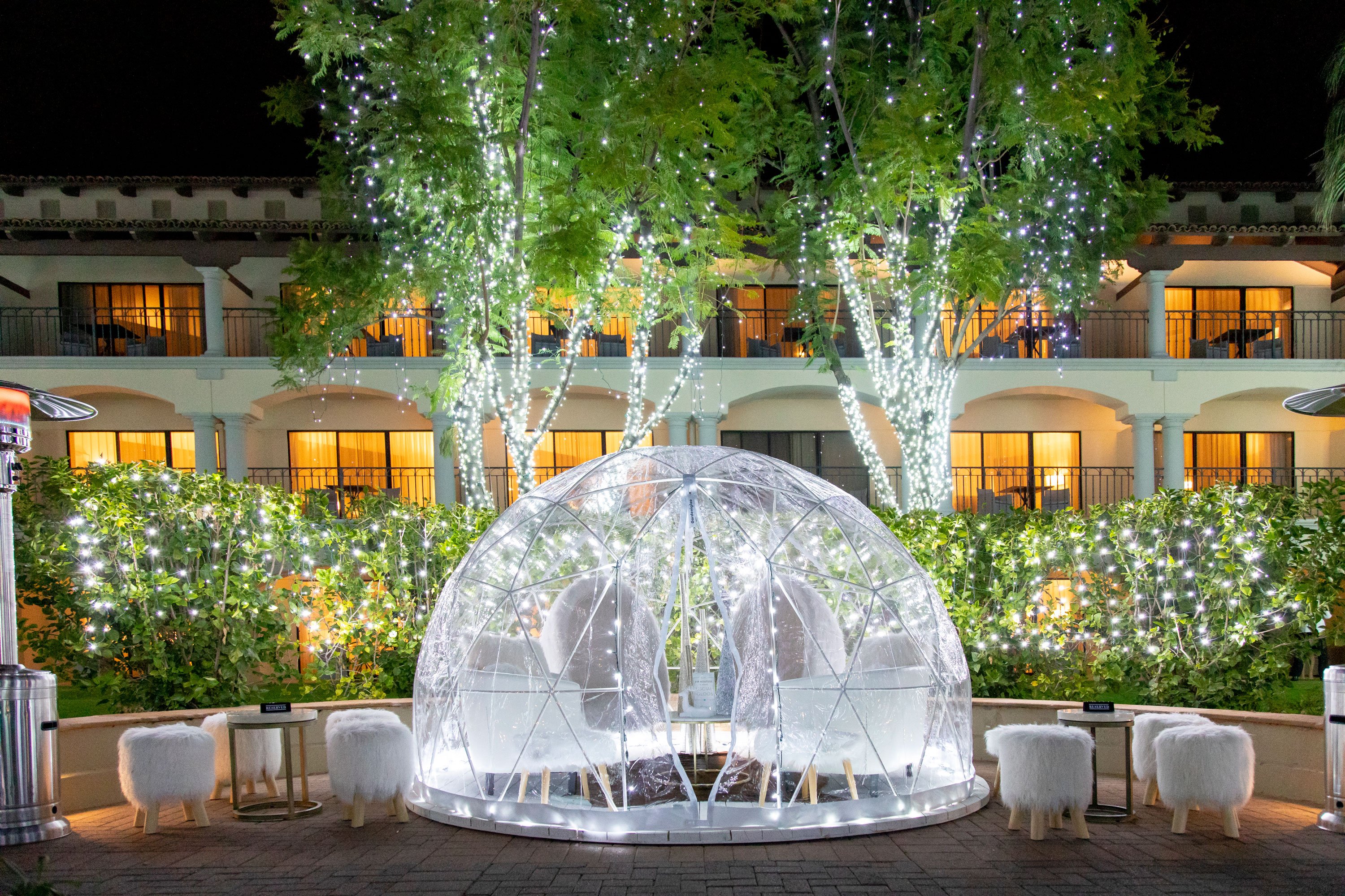 Christmas at the Princess