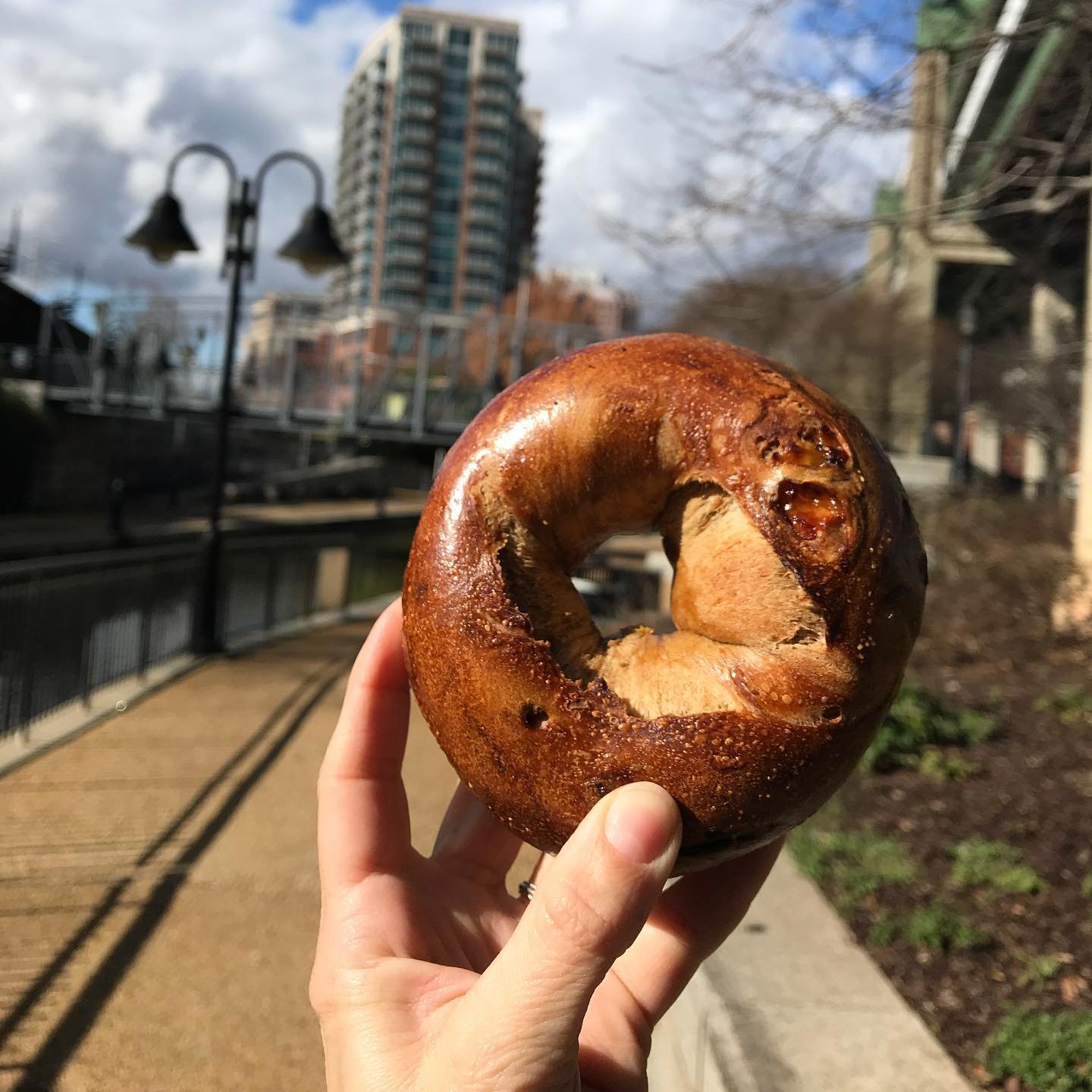 Nate's Bagels-Cary