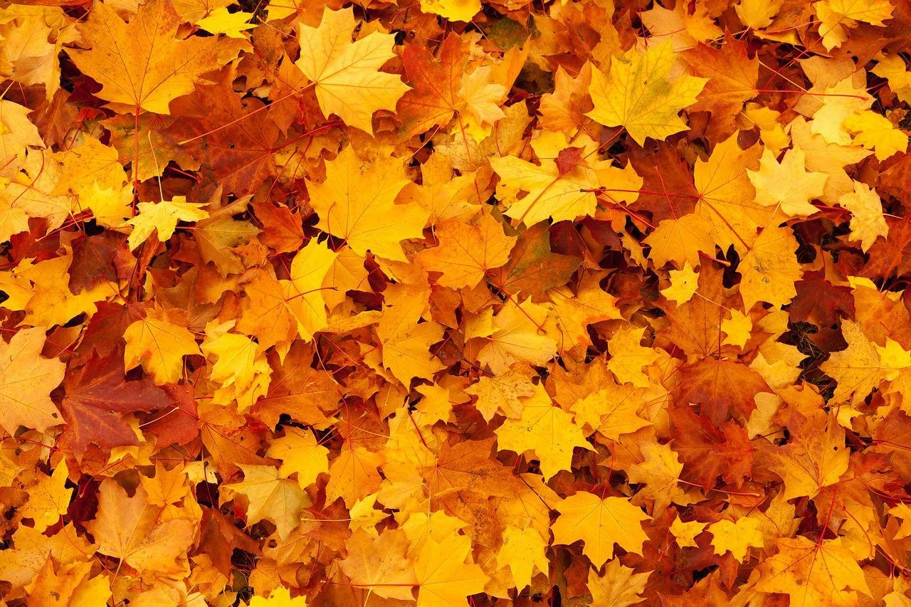 Fall Artisan Market