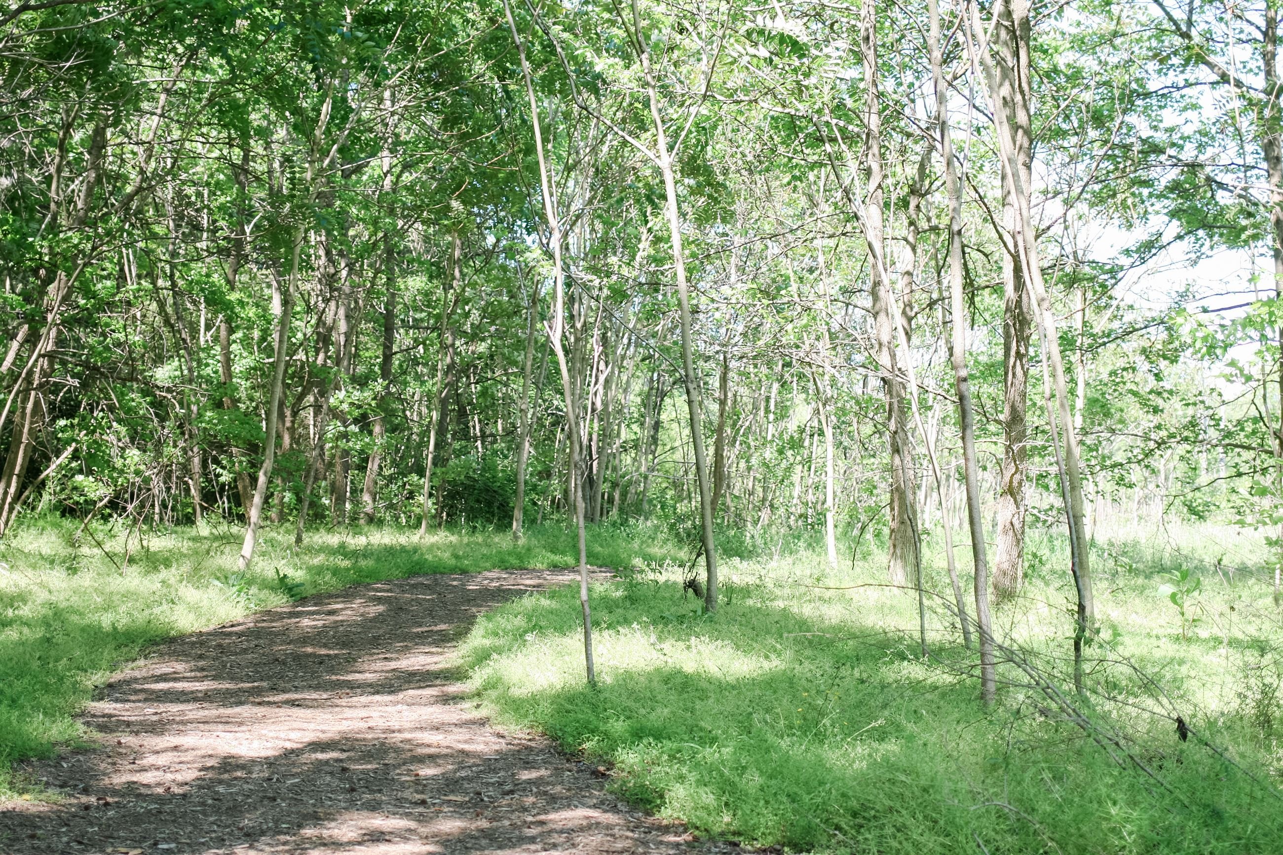 Lake Hanover Natural Trail