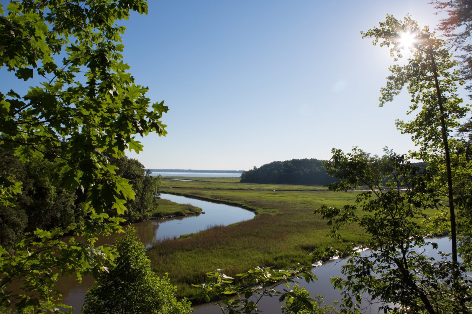 Ware Creek Wildlife Management Area
