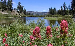 Silver Lake/Lake Solitude