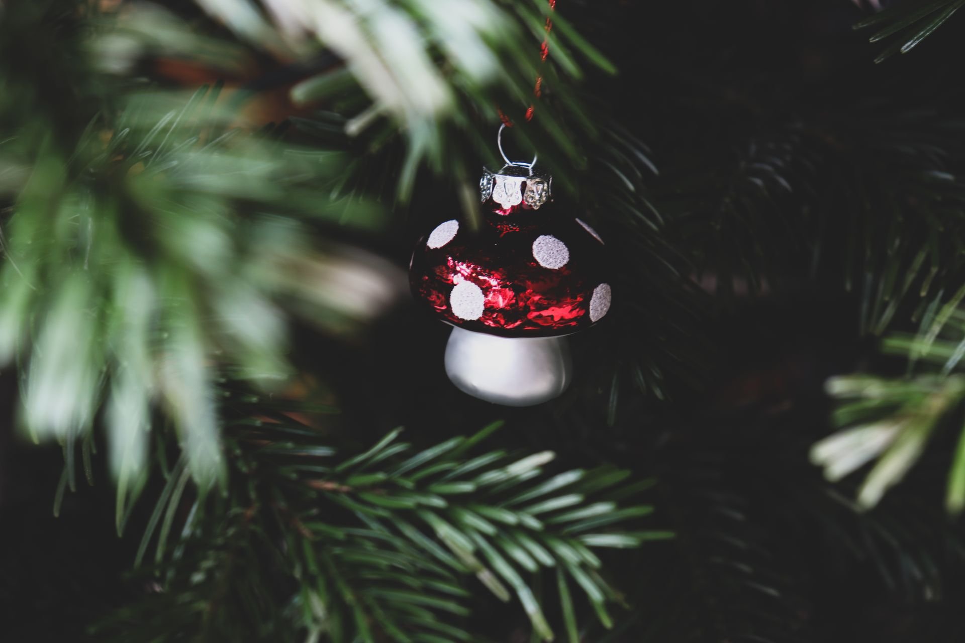 Salt Dough Ornament Decorating