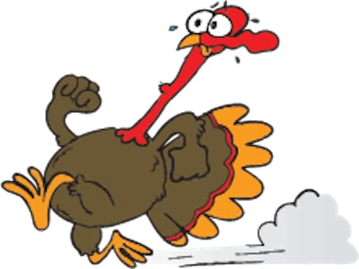 Smithfield Holiday Turkey Trot 2026