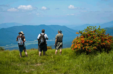 Great Smoky Mountains National Park