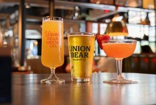 Union Bear Brewing Company - Denton