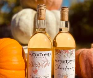 WaterTower Estates