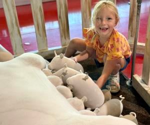 Terre Haute Children's Museum