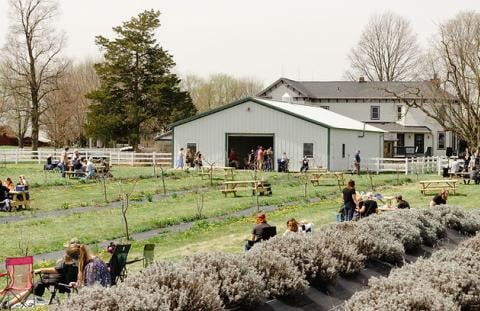 Woolly Yak Ranch & Winery