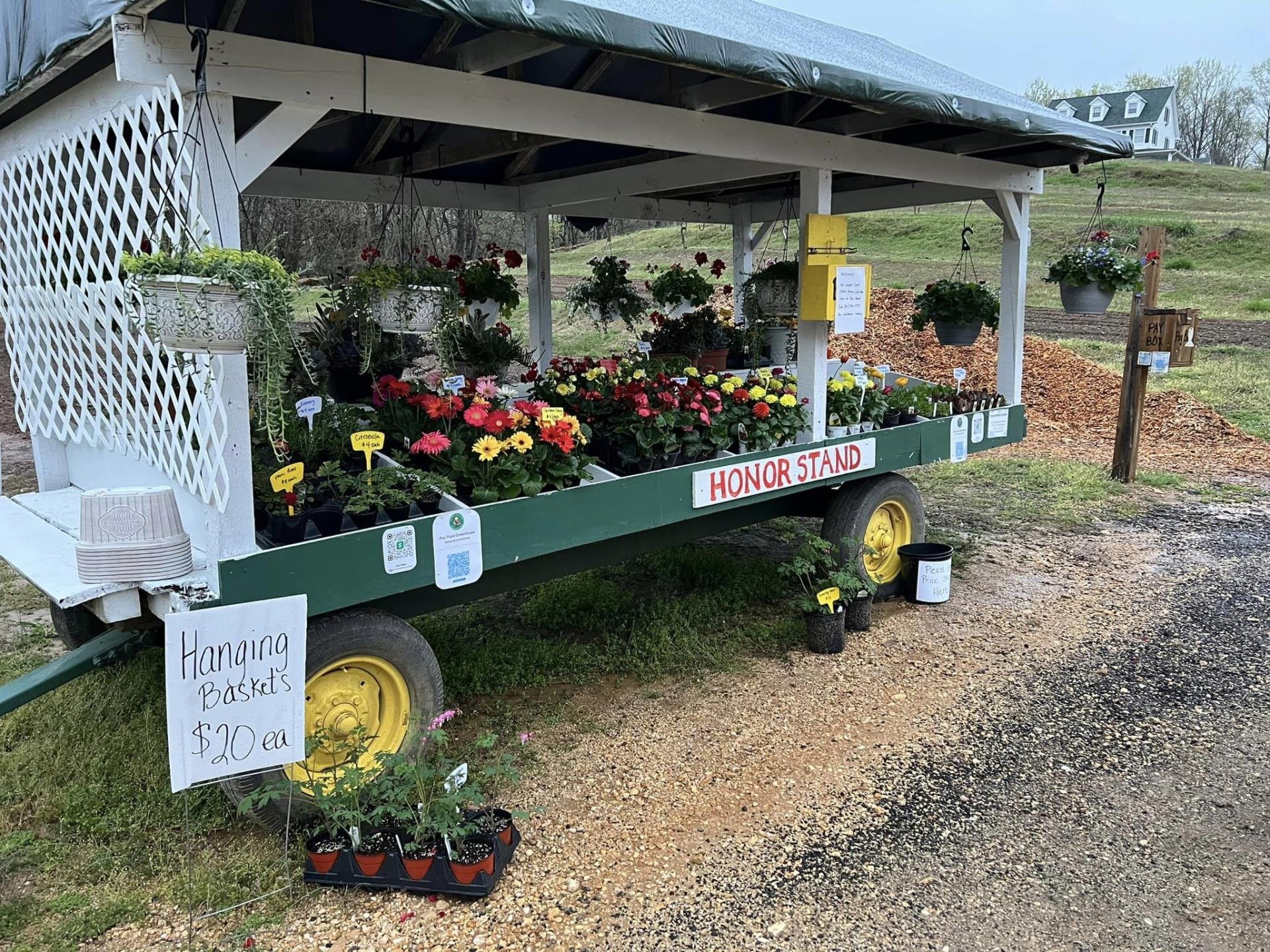 Pop Pop’s Greenhouse