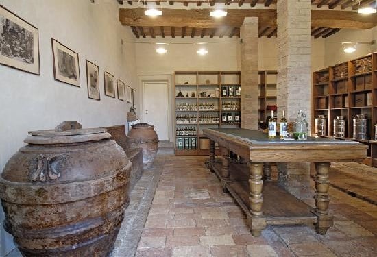 The Olive Cellar