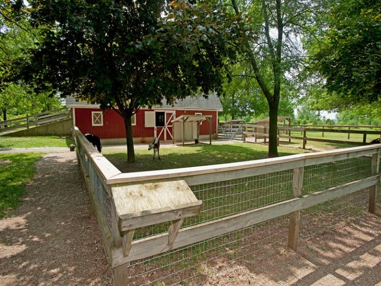 Plamann Park Children's Farm