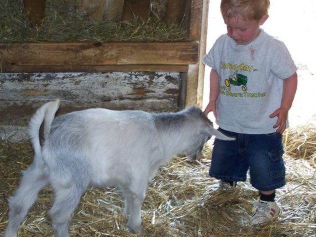 Grandpa Tiny's Farm