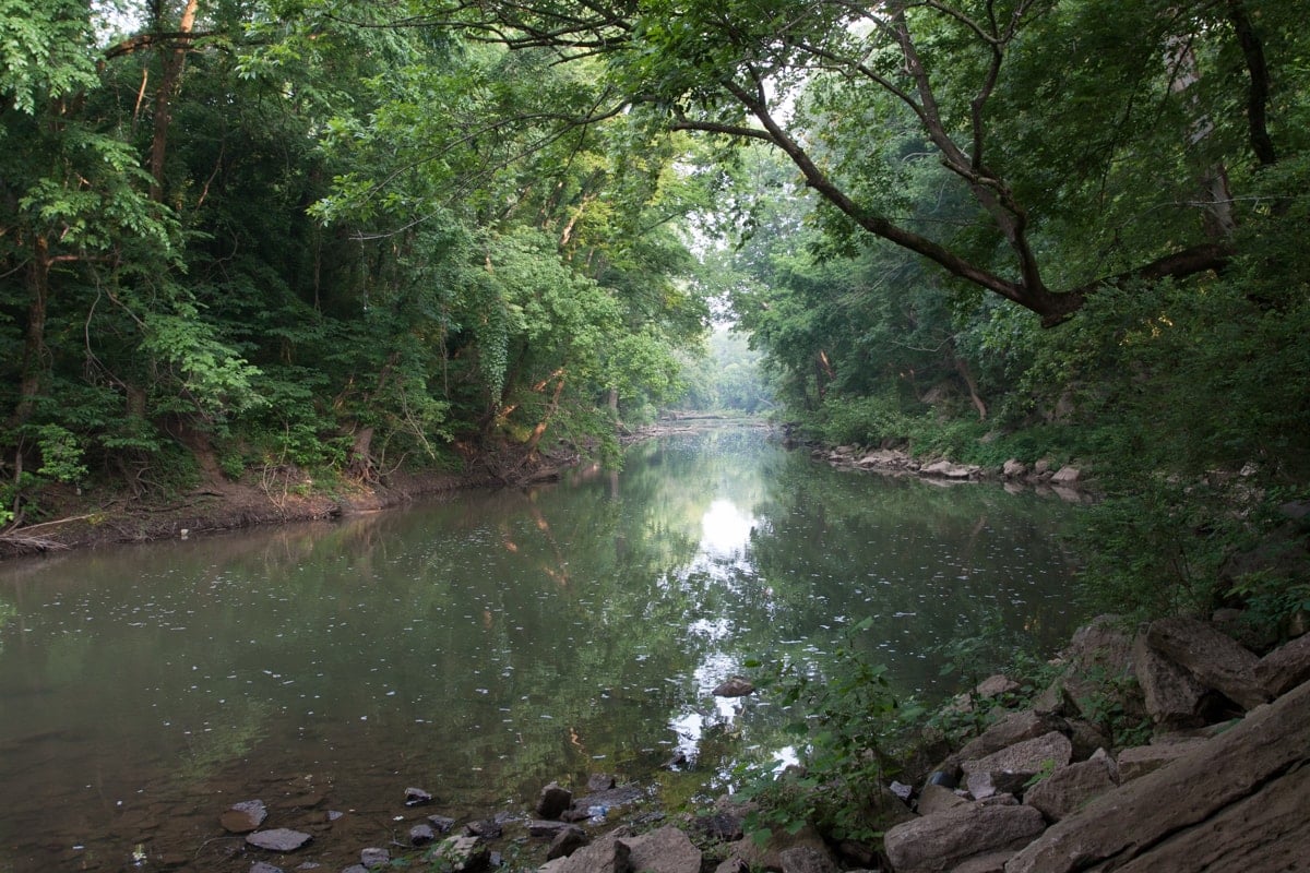 Deerwood Arboretum & Nature Center