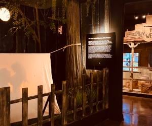 New Orleans Storyville Museum