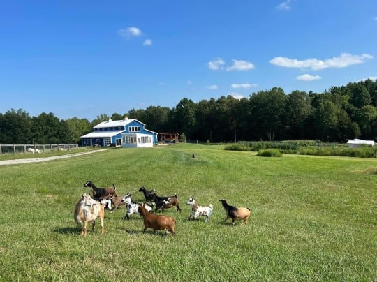 Jubilee Farm Studio