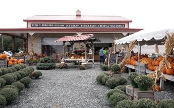Emily's Produce