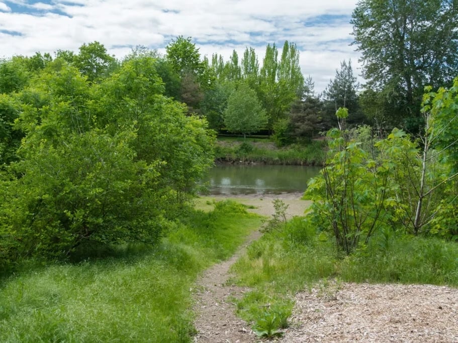 Codiga Park