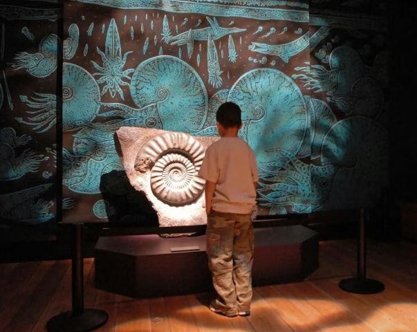 Burke Museum of Natural History and Culture