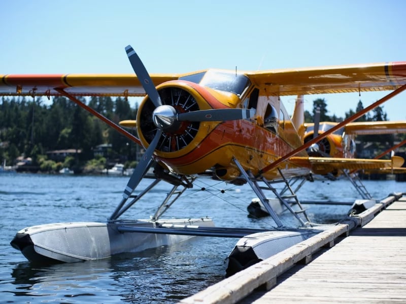 Fly 2 Whales - Seattle Whale Watching Flight Package