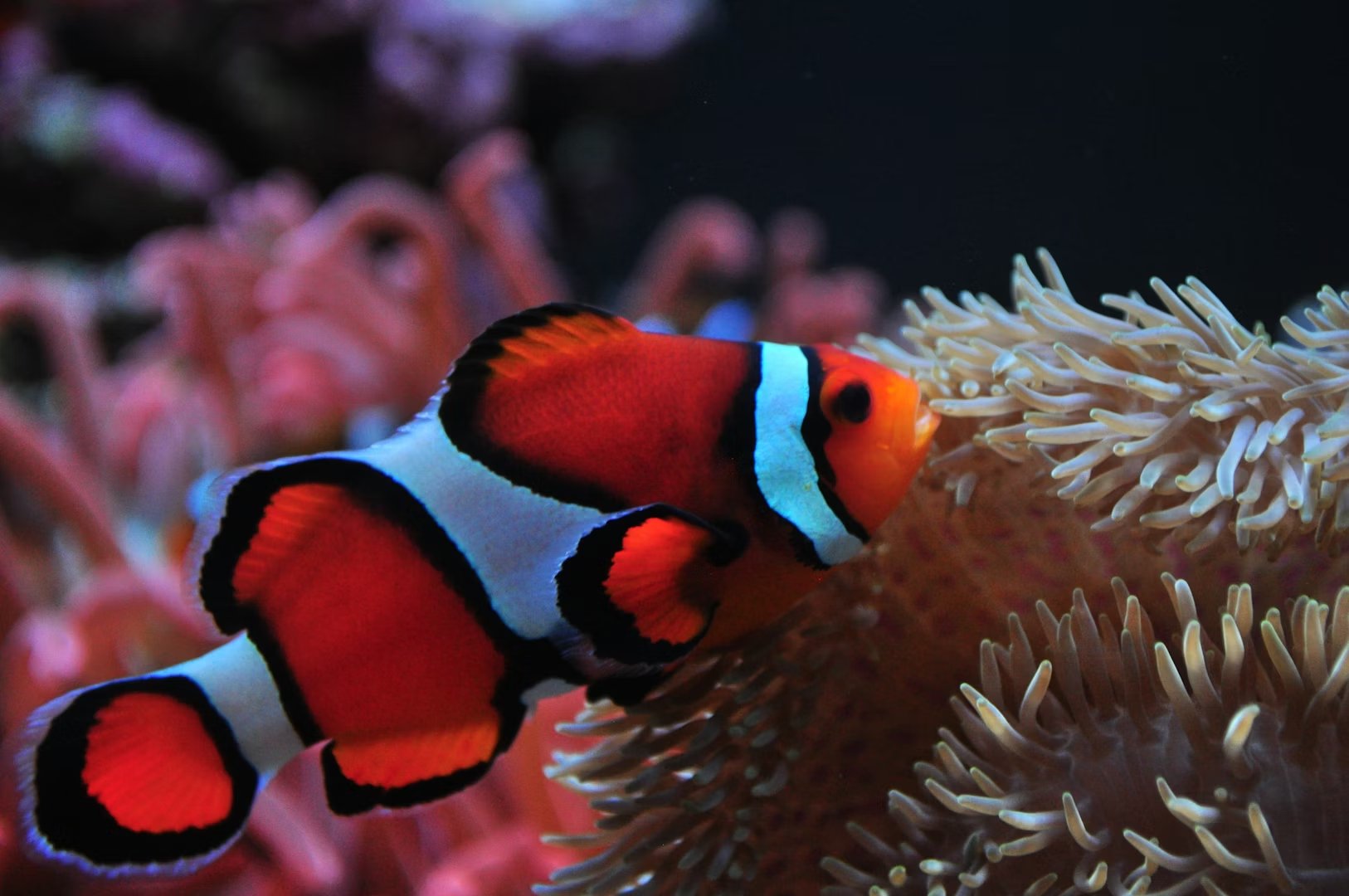 Seattle Aquarium
