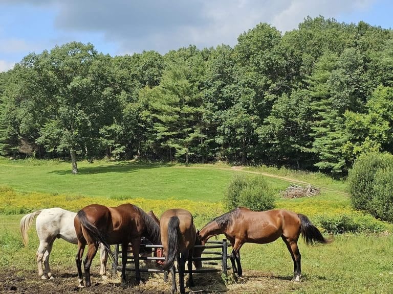 Bobby's Ranch