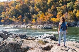 Great Falls Park