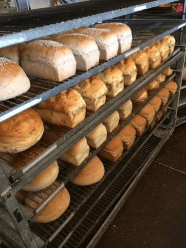 Great Harvest Bread Co. - Clinton