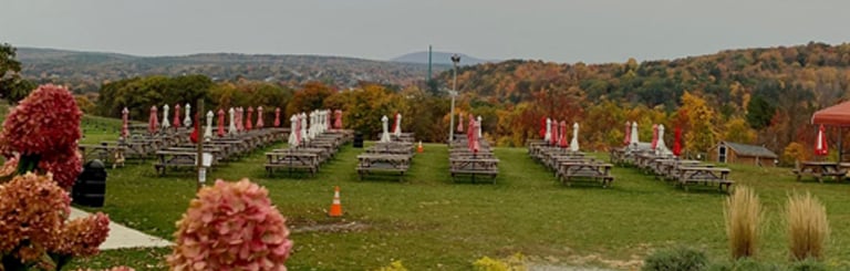 Hollis Hills Farm